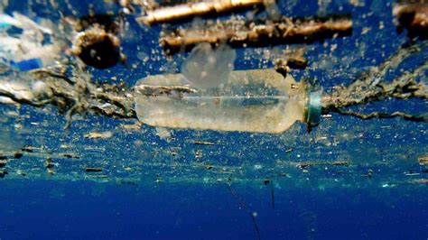 Recycling Hope For Plastic Hungry Enzyme BBC News