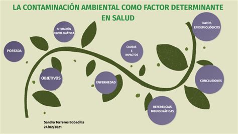 La contaminación ambiental como factor determinante en la salud by