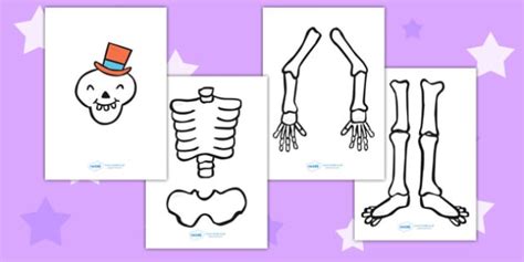 Make A Moving Skeleton Large To Support Teaching On Funnybones