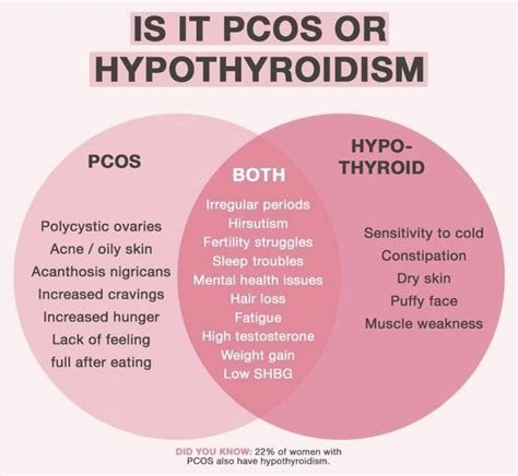 Pcos And Hashimotos Rhashimotos