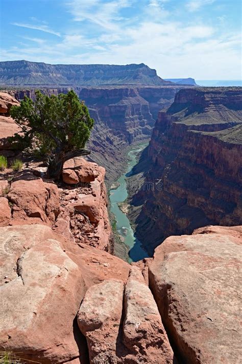 Colorado River From Toroweap Overlook In The Grand Canyon Stock Photo