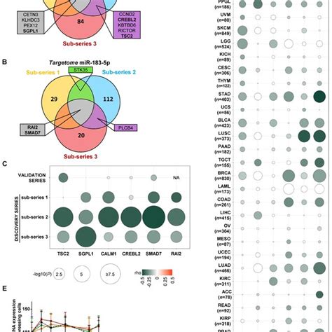 Identification Of Potential Gene Targets Of MiR 21 3p And MiR 183 5p