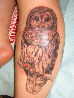 58 AUMAKUA PUEO ideas | owl, owl tattoo, beautiful owl