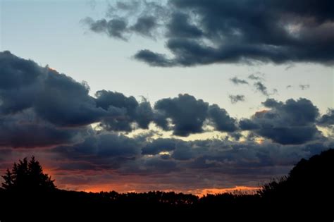 Premium Photo Silhouette Of Trees Against Cloudy Sky