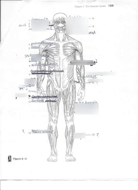 Apologia Advanced Biology Module Diagram Quizlet