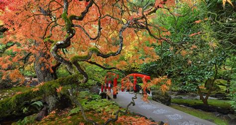 The Butchart Gardens – Victoria, Canada – Japanese Garden