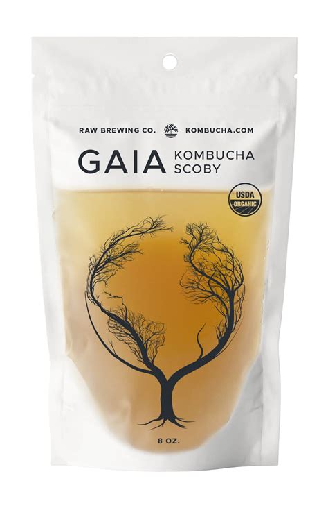 Certified Organic Kombucha Scoby Gaia