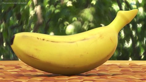 D Old Ripe Baby Banana Model Turbosquid