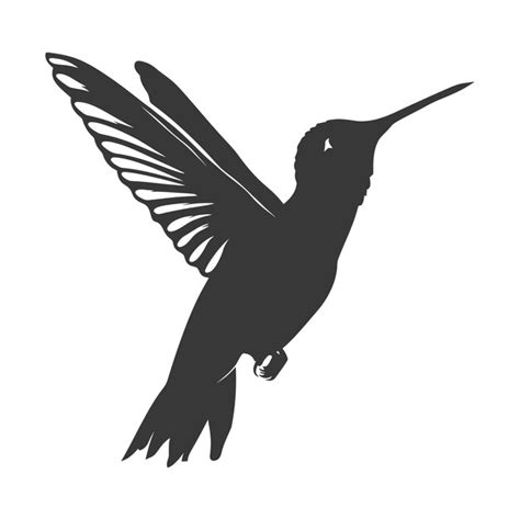 Kolibri Silhouette Schwarze Seite Bilder Kostenloser Download Auf Freepik