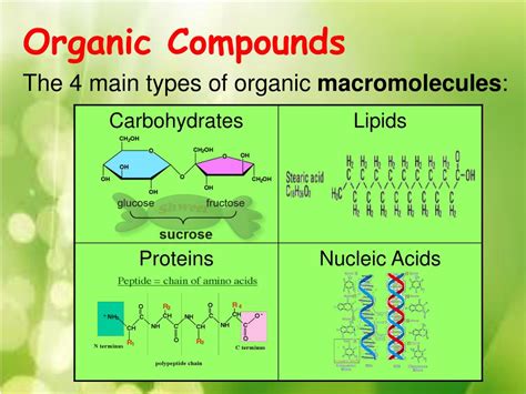 PPT Unit 1 Biochemistry The Chemistry Of Life PowerPoint