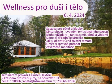 Wellness Pro Du I I T Lo Zdrav Na M Ru