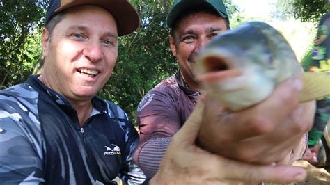 Pesca De Piapara E Curimba Rio Sorocaba Jumirim YouTube