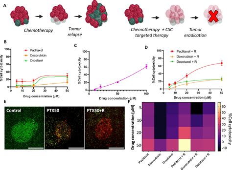 D Bioprinted Tumor Stroma Models Of Triple Negative Breast Cancer Stem