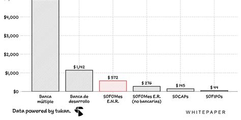 Las SOFOMes más grandes de México by Miguel Angel Dávila