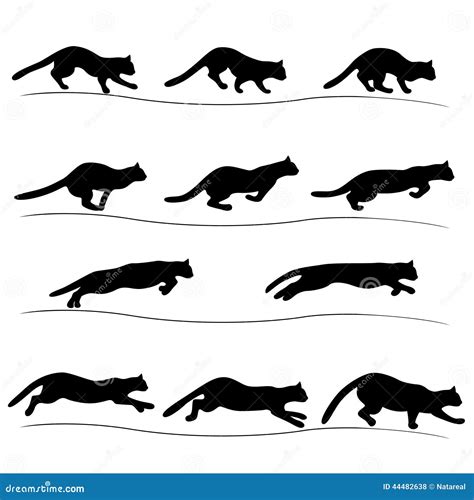 Set Of Running Black Cat Silhouettes Stock Vector Illustration Of