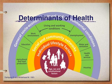 Social Determinants Of Health According To The Whitehead