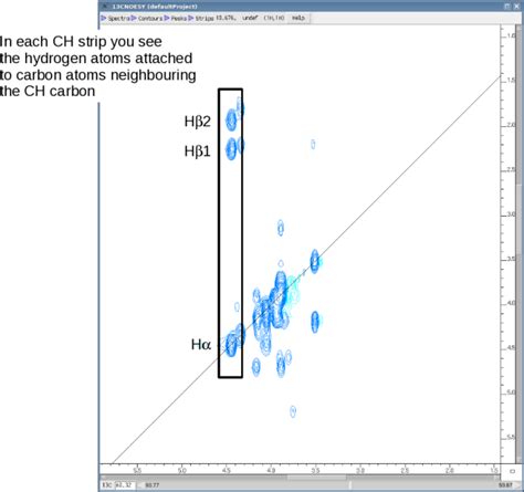 Hcch Cosy Protein Nmr