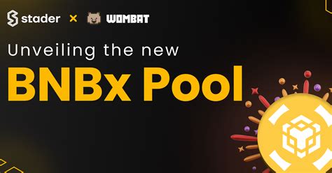 Unveiling The New BNBx Pool On Wombat