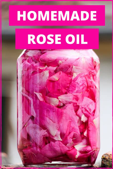 How To Make Rose Petal Oil That Smells Insanely Good Rose Oil Diy