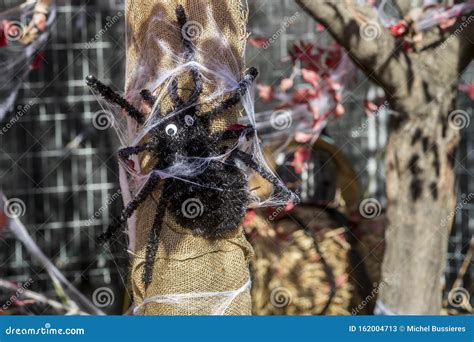 Halloween Avvolge Il Ragno Nella Sua Ragnatela Immagine Stock