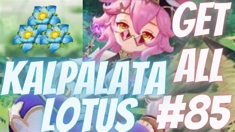 How Get All Kalpalata Lotus Locations Farming Route Genshin