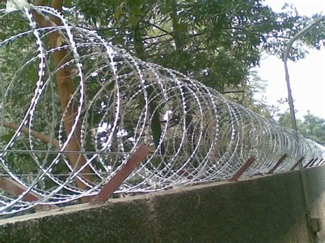 Galvanized Iron Concertina Fencing Wire Single Razor Coil Diameter 600 Mm At Rs 170 Meter In