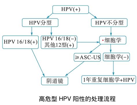 帮你一起解读宫颈癌筛查结果 校医院