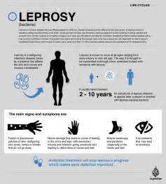 Life Cycle Leprosy Health Al Jazeera