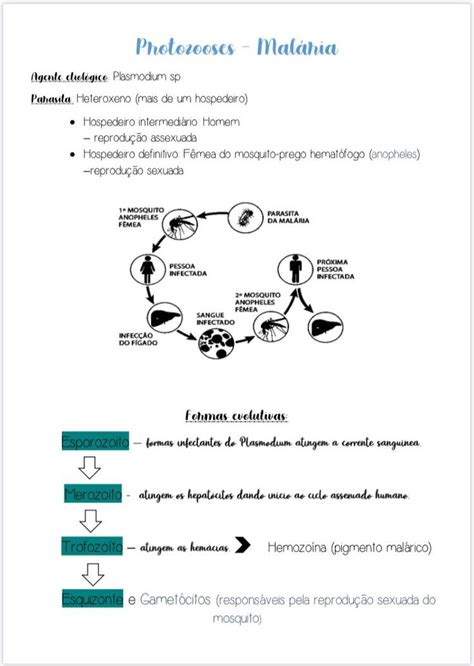 Resumo Biologia Malária em 2024 Parasitologia Biologia Métodos de