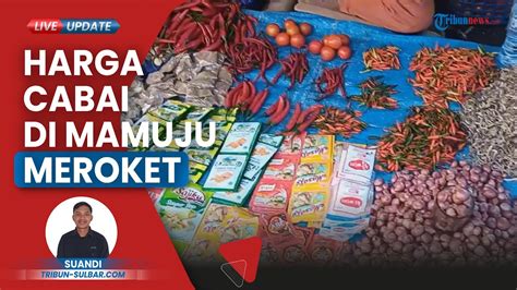 Harga Cabai Rawit Di Tapalang Mamuju Tembus Rp 40 Ribu Per Kg Omzet