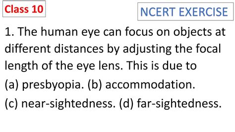 The Human Eye Can Focus On Objects At Different Distances By Adjusting