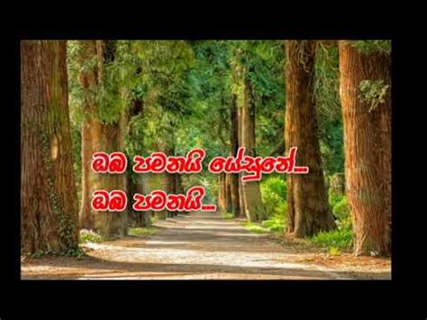 Oba Pamanai Sinhala Christian Hymns Karaoke YouTube