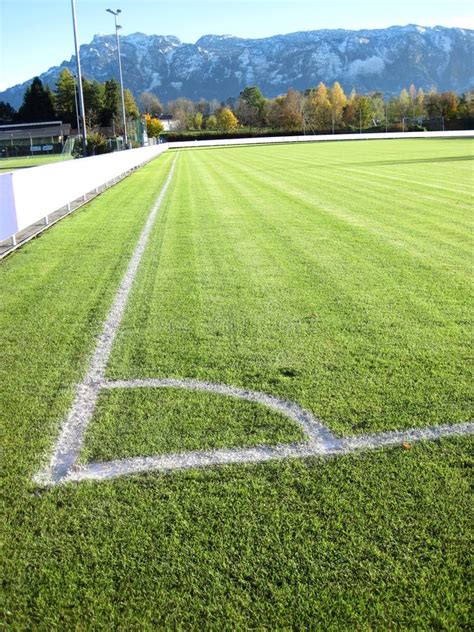 Hierba Del Estadio Del Campo De Fútbol Del Fútbol Foto de archivo