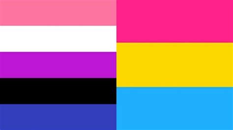 Pin By Shinsohitoshi On Altro Lgbt Flag Colors Lgbt Flag Pansexual