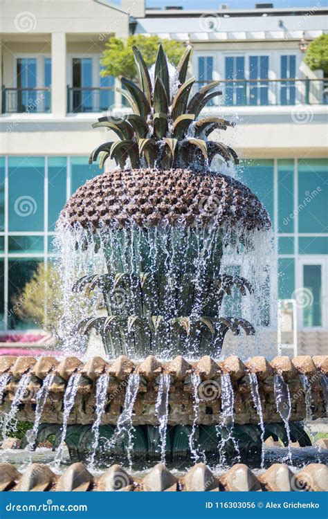 The Pineapple Fountain, at the Waterfront Park in Charleston, so Stock ...