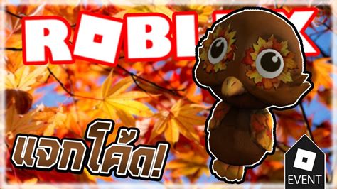 🦉roblox New Promo Code 🦉แจกโค้ดนกฮูกในฤดูใบไม้ร่วง Fall Shoulder Owl Pal🍁 Youtube