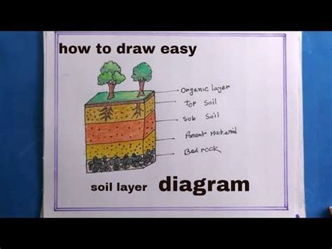 how to draw layers of soil diagram drawing/layers of soil diagram - YouTube in 2024 | Soil ...