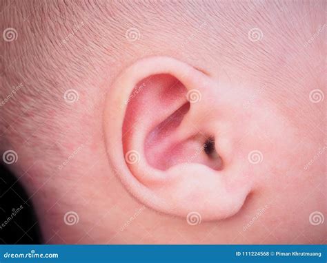 Newborn Baby Ear Stock Photo Image Of Close Healthy