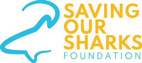 Donate To Save Sharks Saving Our Sharks Foundation