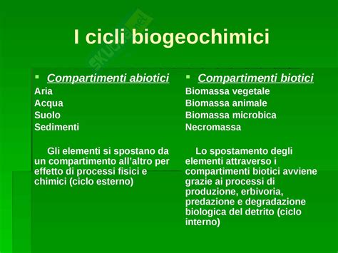 Ecologia Cicli Biogeochimici