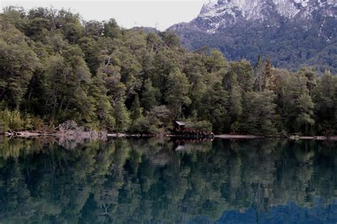 Parque Nacional Los Alerces Declarado Sitio De Patrimonio Mundial Por