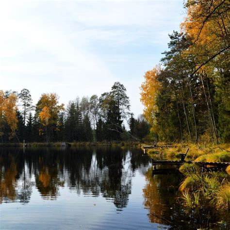 majaciaa na Instagramie krasna rzeczka podlasie jesień