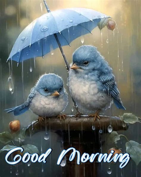 Two Blue Birds Sitting Under An Umbrella On A Rainy Day With The Words