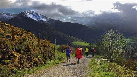 Doc Holiday: When to hike Spain’s El Camino de Santiago trail | escape