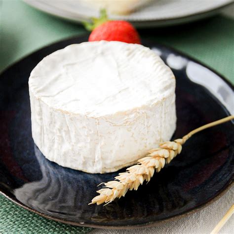 Le Camembert Tout Savoir Sur Une Ic Ne Fromag Re