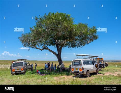 Safari Vehicles And People Having A Picnic Lunch Under A Tree Mara