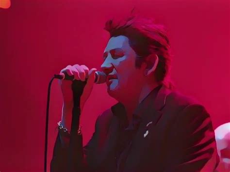 Shane Macgowan Le Chanteur Des Pogues Est Mort