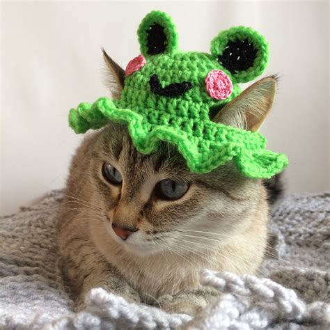 Crochet Hat For Cat Frog Hat Crochet Pattern For Pets Etsy