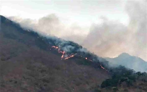 Incendio La Selva De Los Chimalapas Oaxaca Consume 16 Mil Hectáreas