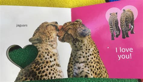 TIL any cat with spots is a Jaguar. : r/CrappyDesign